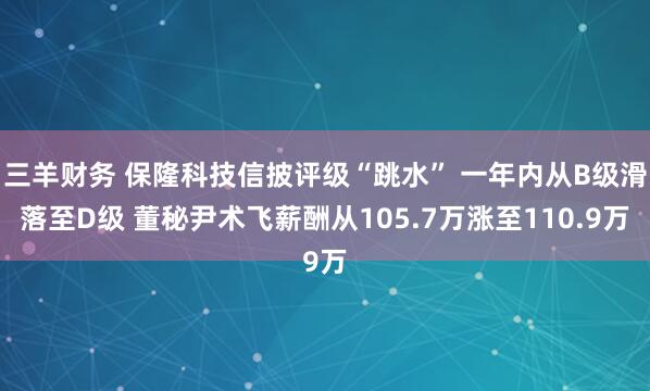三羊财务 保隆科技信披评级“跳水” 一年内从B级滑落至D级 董秘尹术飞薪酬从105.7万涨至110.9万