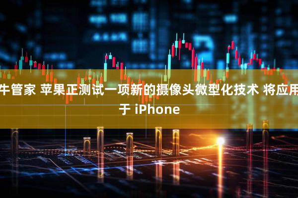 牛管家 苹果正测试一项新的摄像头微型化技术 将应用于 iPhone