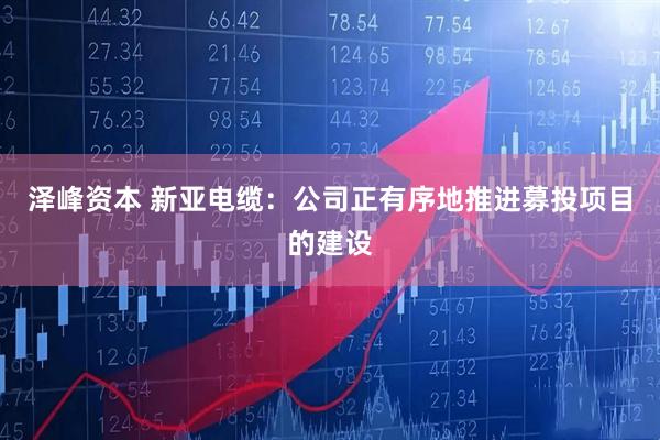 泽峰资本 新亚电缆：公司正有序地推进募投项目的建设