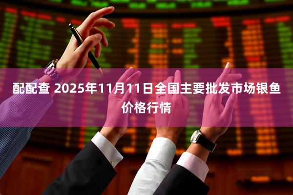配配查 2025年11月11日全国主要批发市场银鱼价格行情