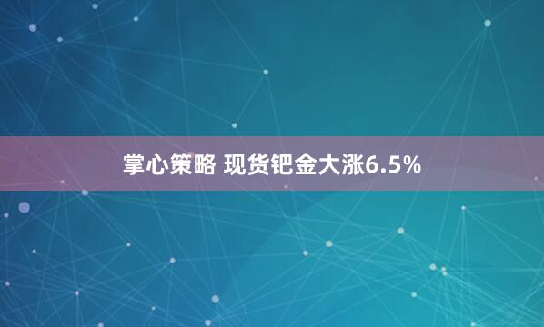 掌心策略 现货钯金大涨6.5%