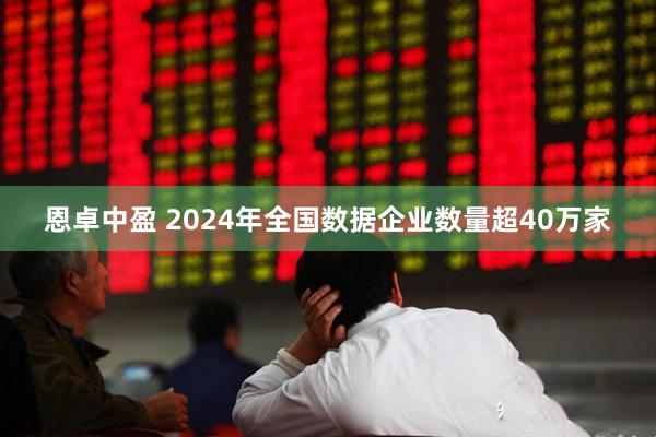 恩卓中盈 2024年全国数据企业数量超40万家